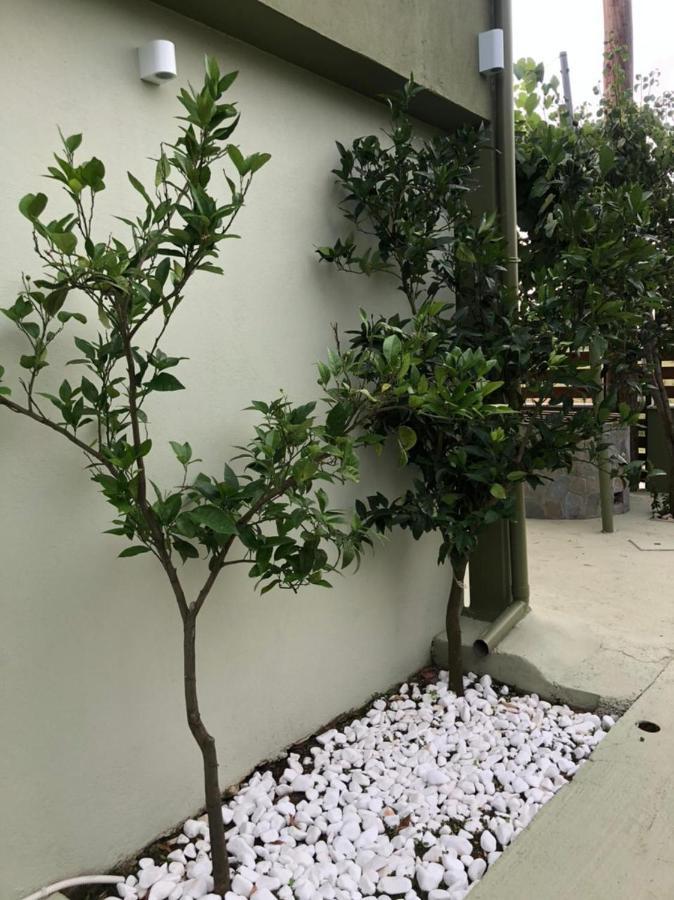 Green Olive Studios 2 Ейос Мамас Екстериор снимка