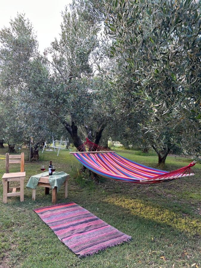 Green Olive Studios 2 Ейос Мамас Екстериор снимка