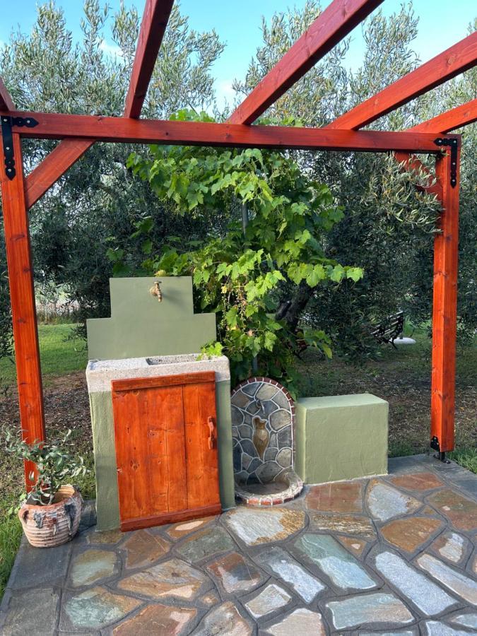 Green Olive Studios 2 Ейос Мамас Екстериор снимка